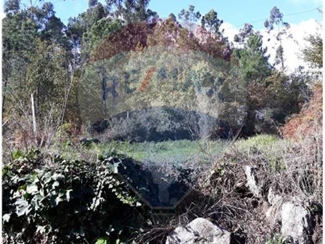 Terreno venda em Vila Verde, Braga