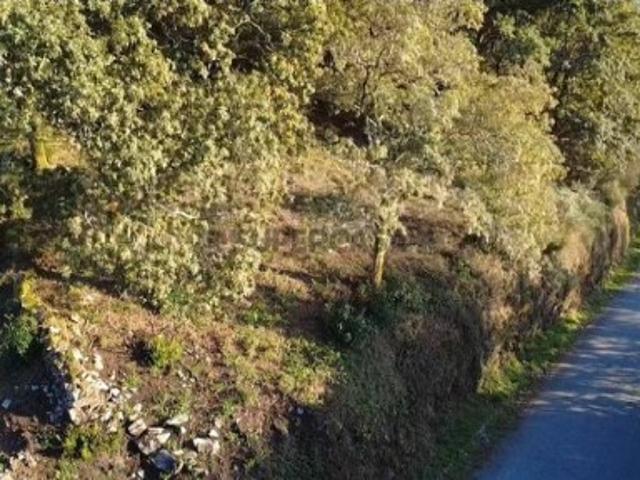 Terreno venda em Vila Verde, Braga