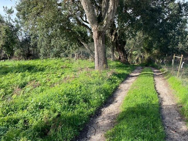 Terreno venda em Alhadas, Figueira da Foz