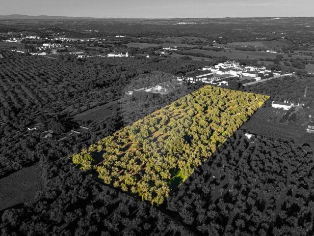 Terreno venda em Vila Viçosa, Évora
