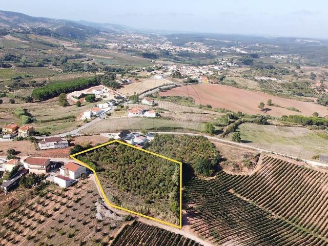 Terreno venda em Cadaval e Pêro Moniz, Cadaval