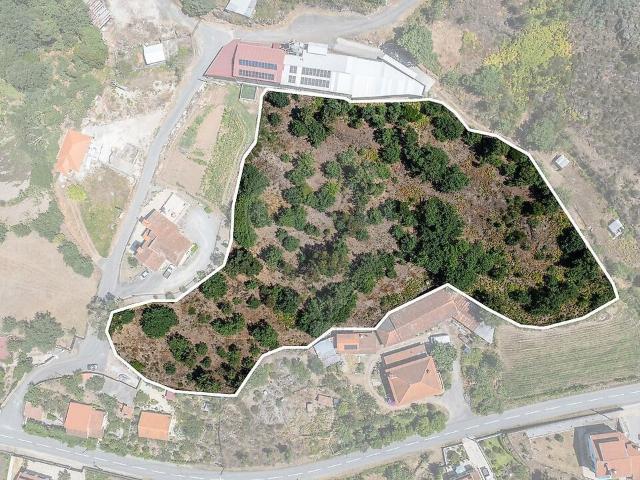Terreno venda em Vilar de Ferreiros, Mondim de Basto