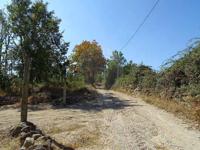 Terreno venda em Nelas