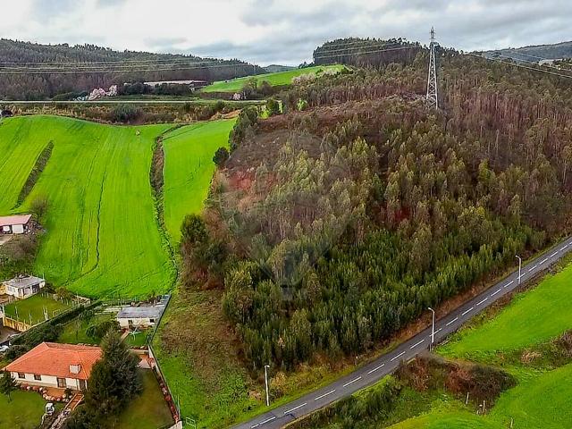 Terreno venda em Monte, Vila Nova de Famalicão