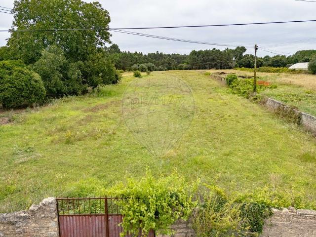 Terreno venda em Anadia, Aveiro