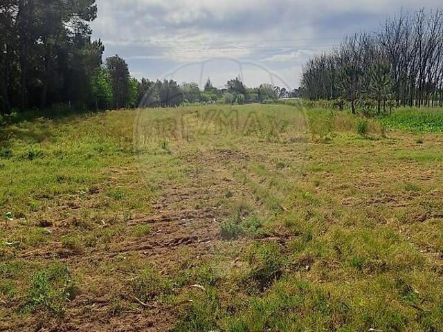 Terreno venda em Vilarinho do Bairro, Anadia