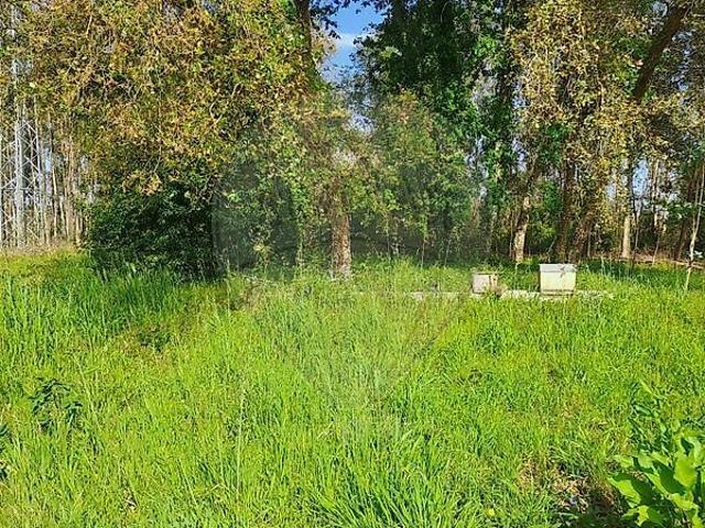 Terreno venda em Vilarinho do Bairro, Anadia