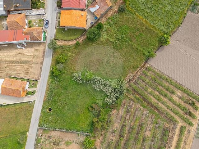 Terreno venda em Vilarinho do Bairro, Anadia