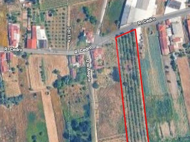 Terreno venda em Vilarinho do Bairro, Anadia