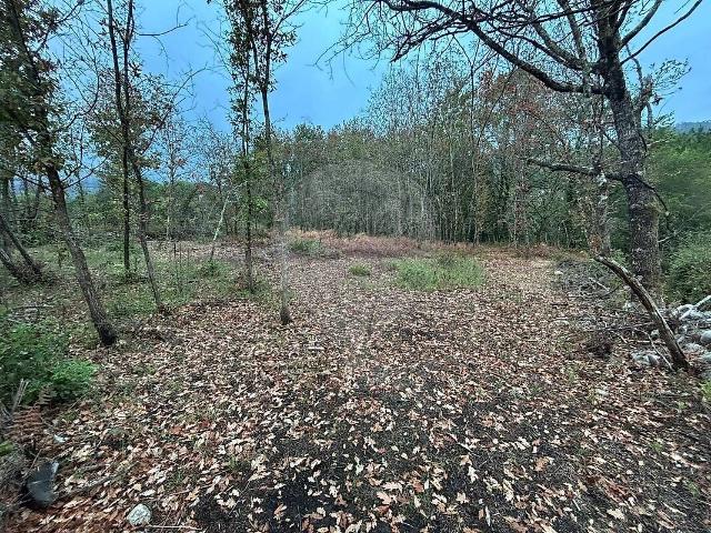 Terreno venda em Vilela, São Cosme e São Damião e Sá, Arcos de Valdevez