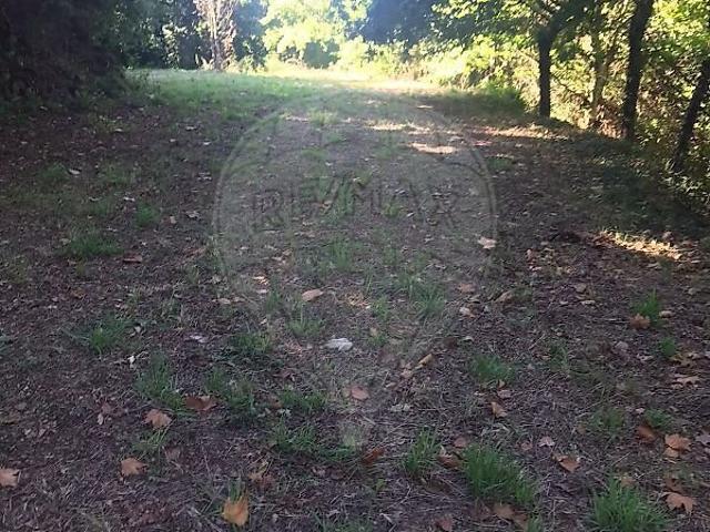 Terreno venda em Rio, Amares