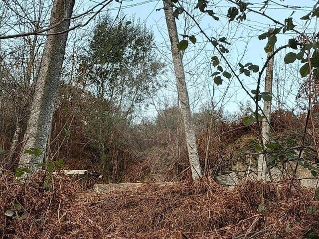 Terreno venda em Urjais, Amares