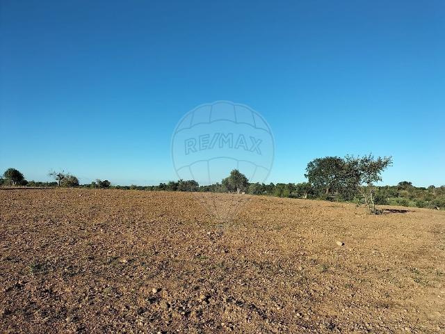 Terreno venda em Monte Velho, Arraiolos