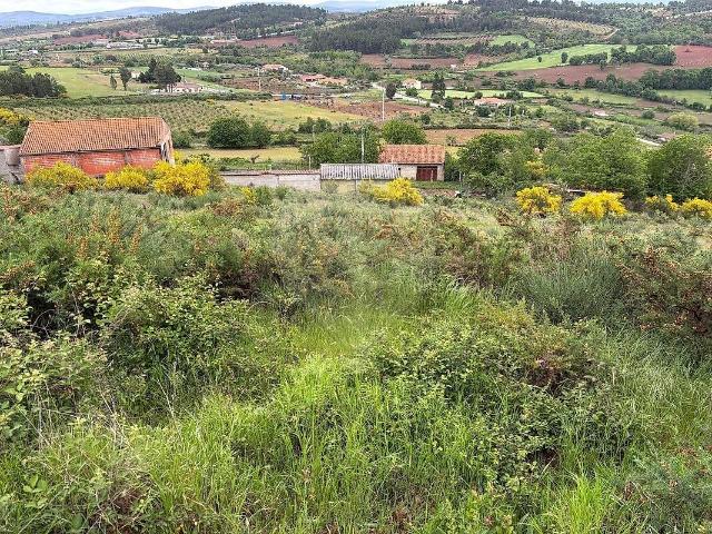 Terreno venda em Vimioso