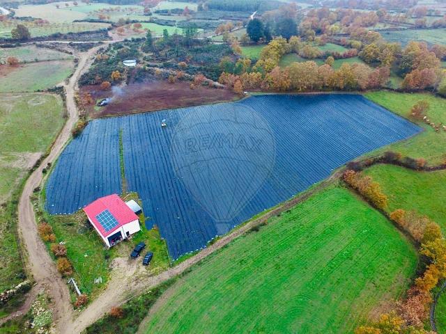 Terreno venda em Edroso, Bragança