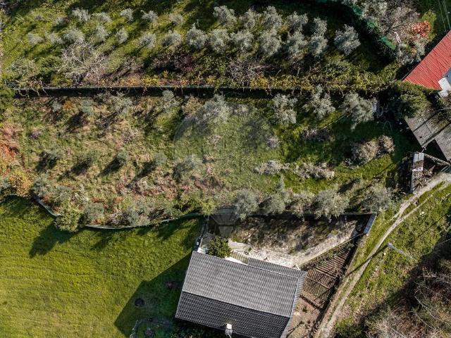 Terreno venda em Faíl e Vila Chã de Sá, Viseu