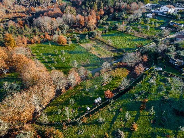 Terreno venda em Bodiosa-a-Nova, Viseu