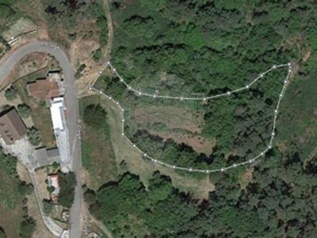 Terreno venda em Viseu