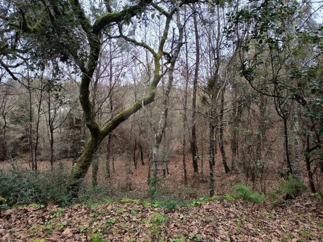 Terreno venda em Viseu