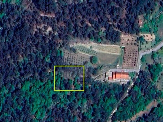 Terreno venda em Faíl e Vila Chã de Sá, Viseu