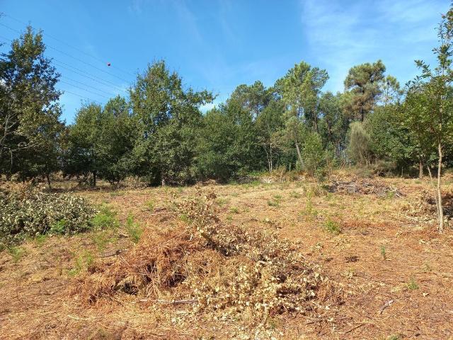 Terreno venda em Moure de Carvalhal, Viseu
