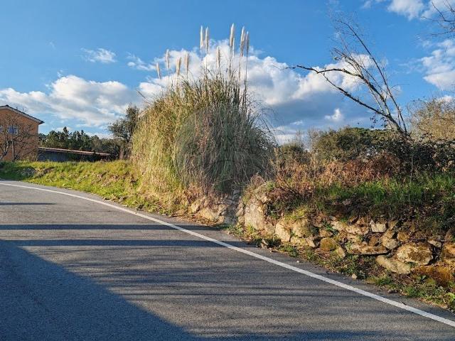 Terreno venda em Viseu