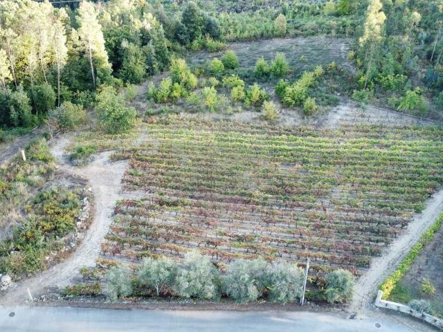 Terreno venda em Viseu