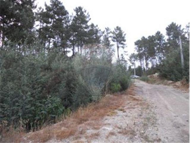 Terreno venda em Bodiosa-a-Nova, Viseu