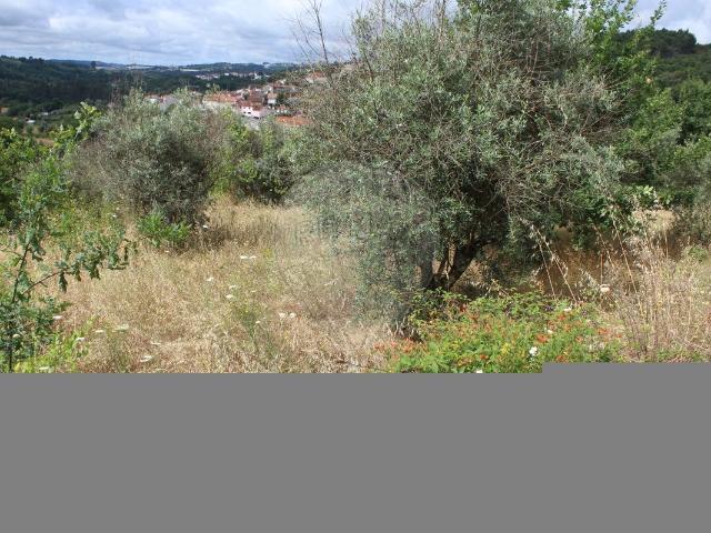 Terreno venda em Corvos-à-Nogueira, Viseu