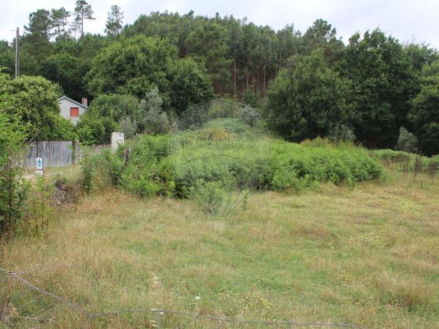 Terreno venda em Corvos-à-Nogueira, Viseu