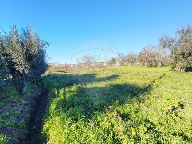 Terreno venda em Póvoa de Sobrinhos, Viseu
