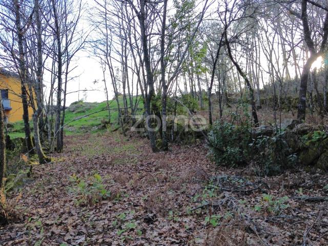 Terreno venda em Viseu