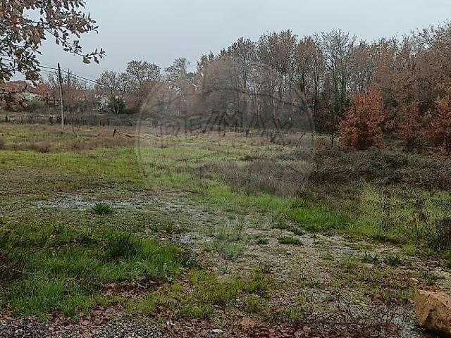 Terreno venda em Campo, Viseu