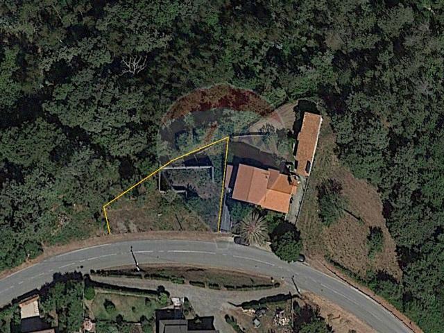 Terreno venda em Cambra, Viseu