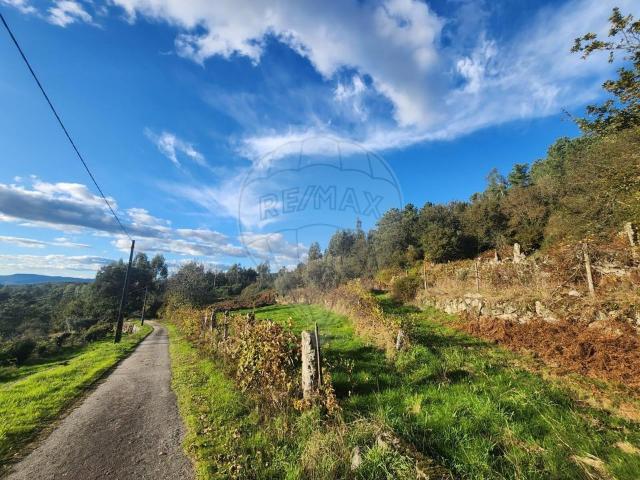 Terreno venda em Alcofra, Viseu