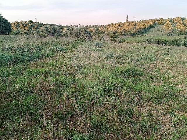 Terreno venda em Porto Carneiro, Torres Novas