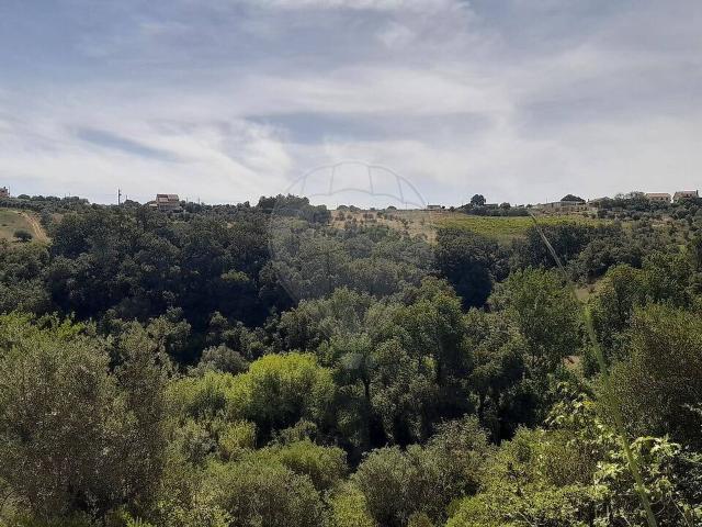 Terreno venda em Zibreira, Torres Novas