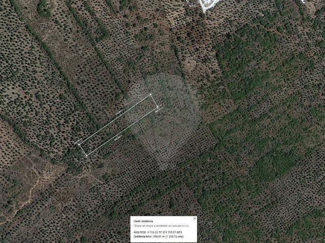 Terreno venda em Vila Viçosa, Évora