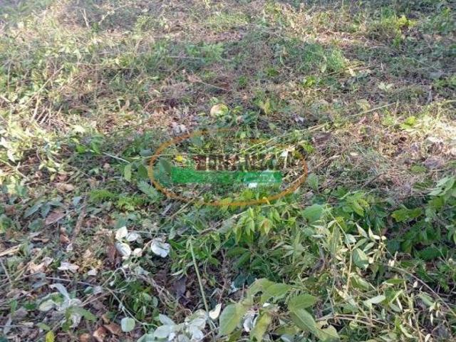 Terreno venda em Tiradentes, Região Geográfica Intermediária de Juiz de Fora