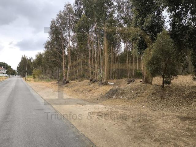 Terreno venda em Entroncamento, Nossa Senhora De Fátima