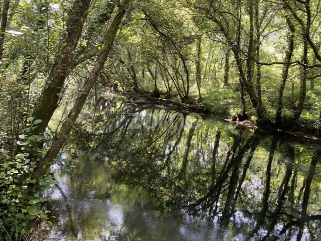 Terreno venda em Esposende, Braga