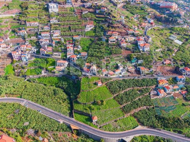 Terreno venda em Câmara De Lobos, Ilhéu