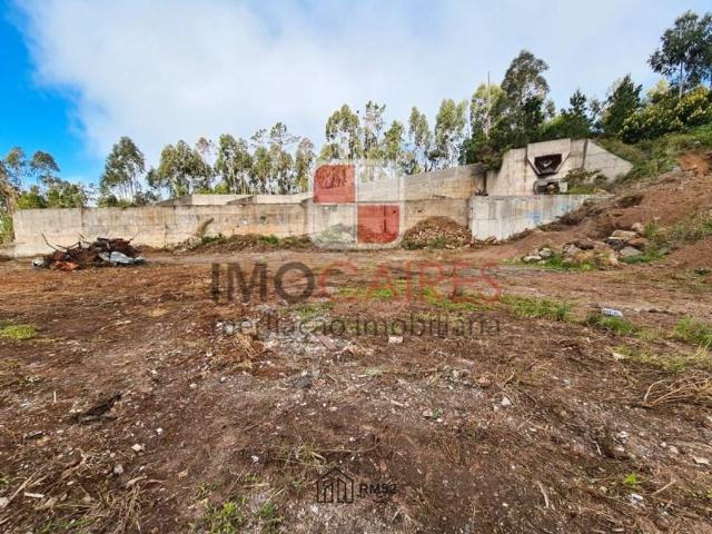 Terreno venda em Câmara De Lobos, Aviceiro