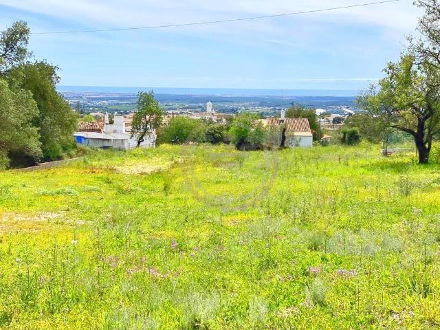Terreno venda em Faro