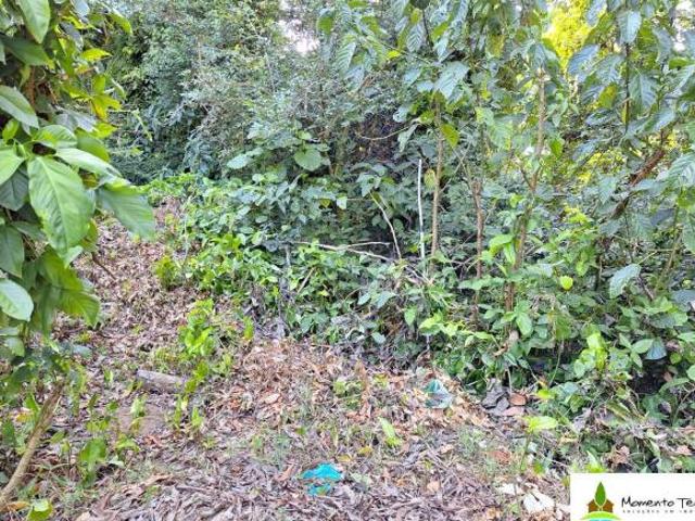 Terreno venda em Região Geográfica Imediata de Santa Maria, Santa Maria