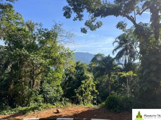 Terreno venda em Região Geográfica Imediata de Santa Maria, Santa Maria