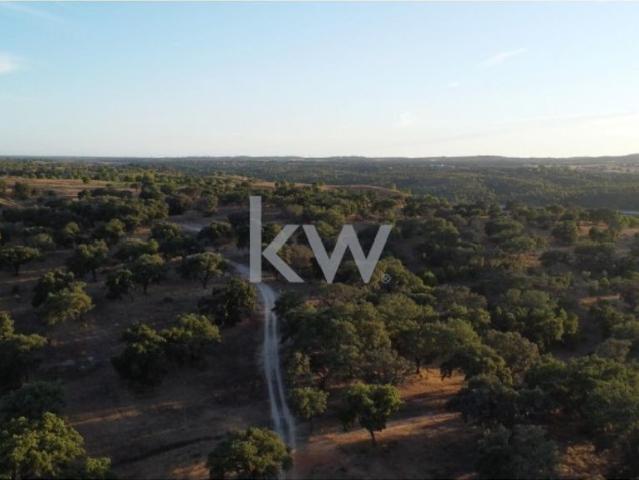 Terreno venda em Figueira dos Cavaleiros, Ferreira do Alentejo