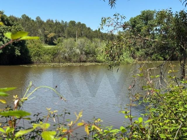 Terreno venda em Figueira dos Cavaleiros, Ferreira Do Alentejo