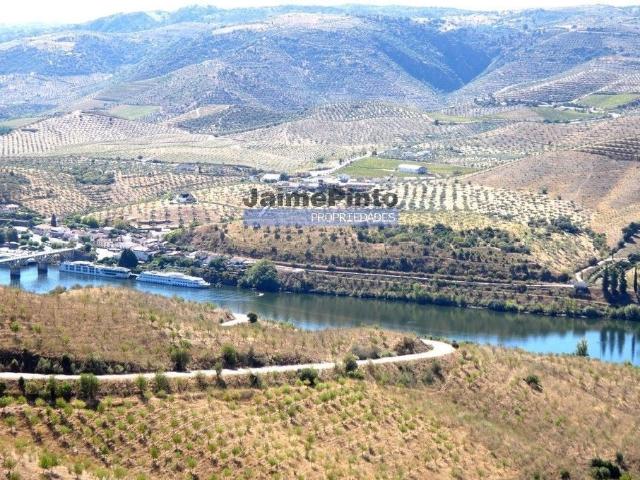 Terreno venda em Figueira de Castelo Rodrigo, Guarda