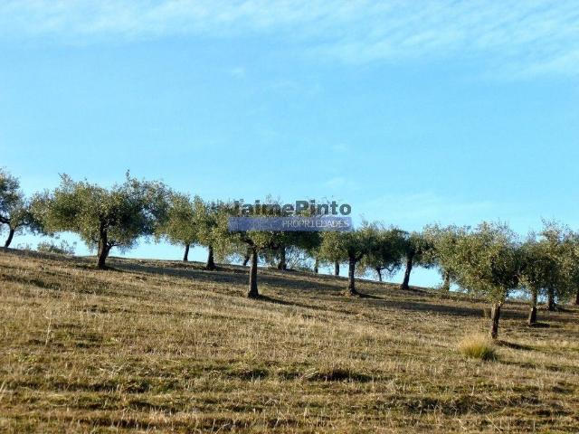 Terreno venda em Guarda, Figueira De Castelo Rodrigo